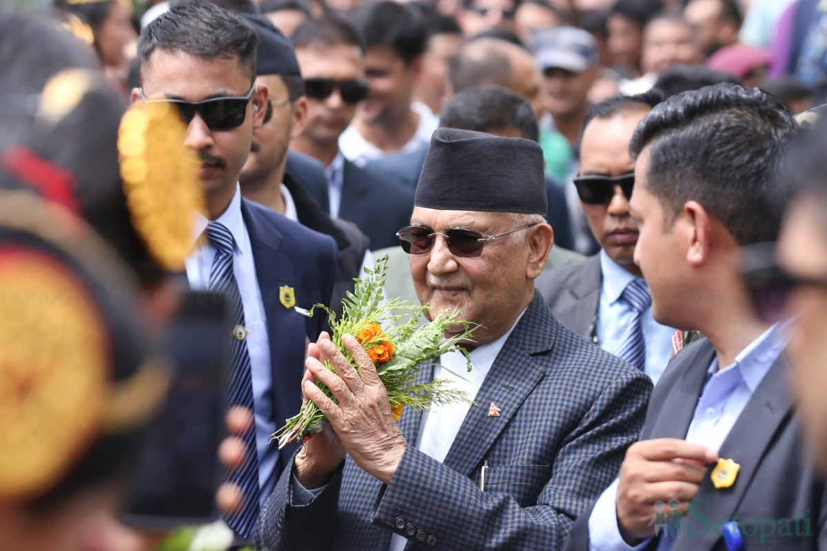 Tree-plantation_-(3)-1751099530.jpg