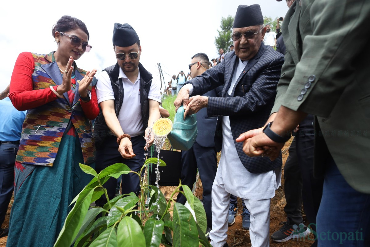 Tree-plantation_-(4)-1751099513.jpg