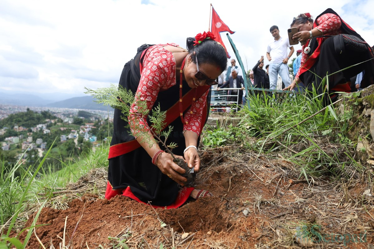 Tree-plantation_-(5)-1751099530.jpg