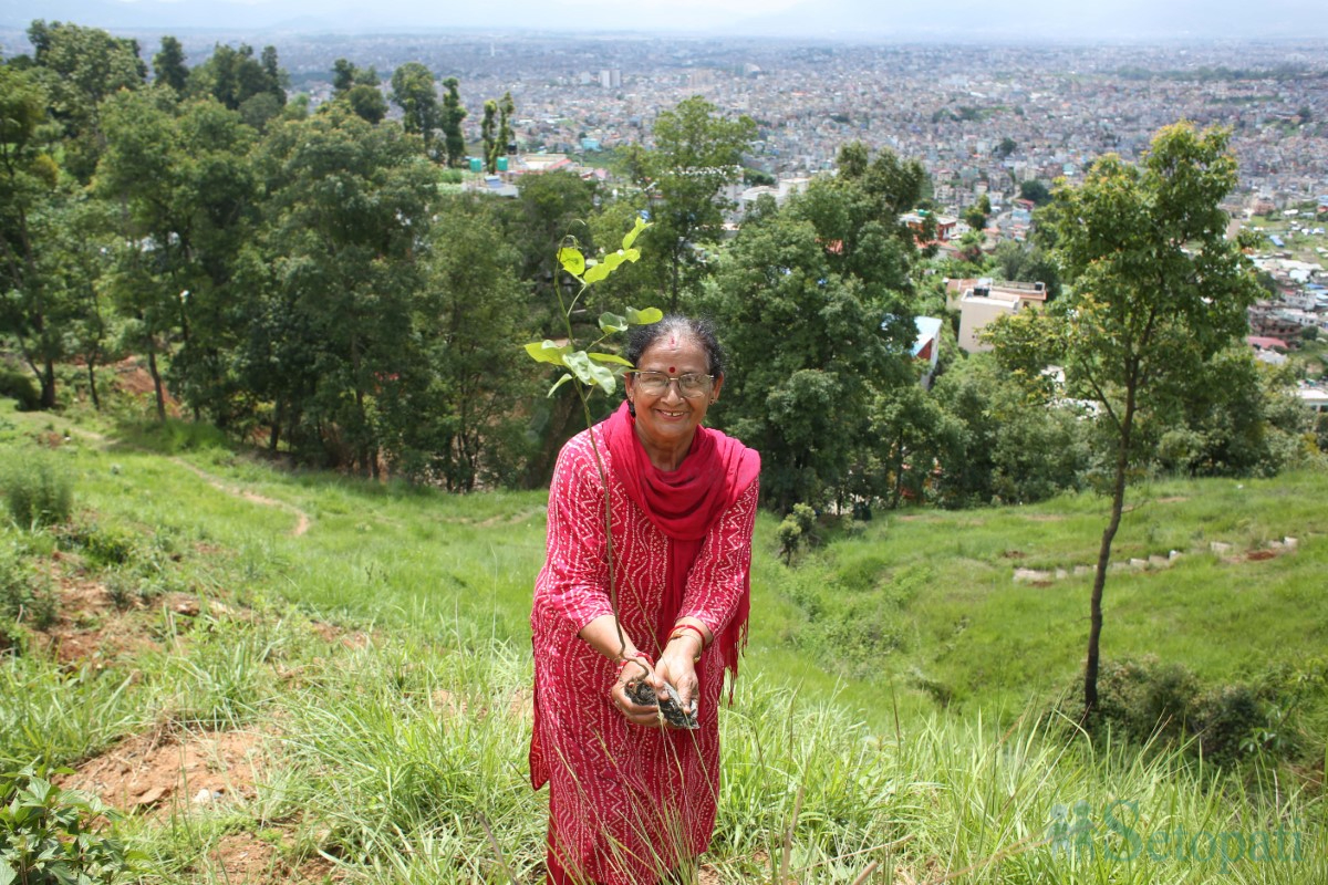 Tree-plantation_-525-1751099531.jpg