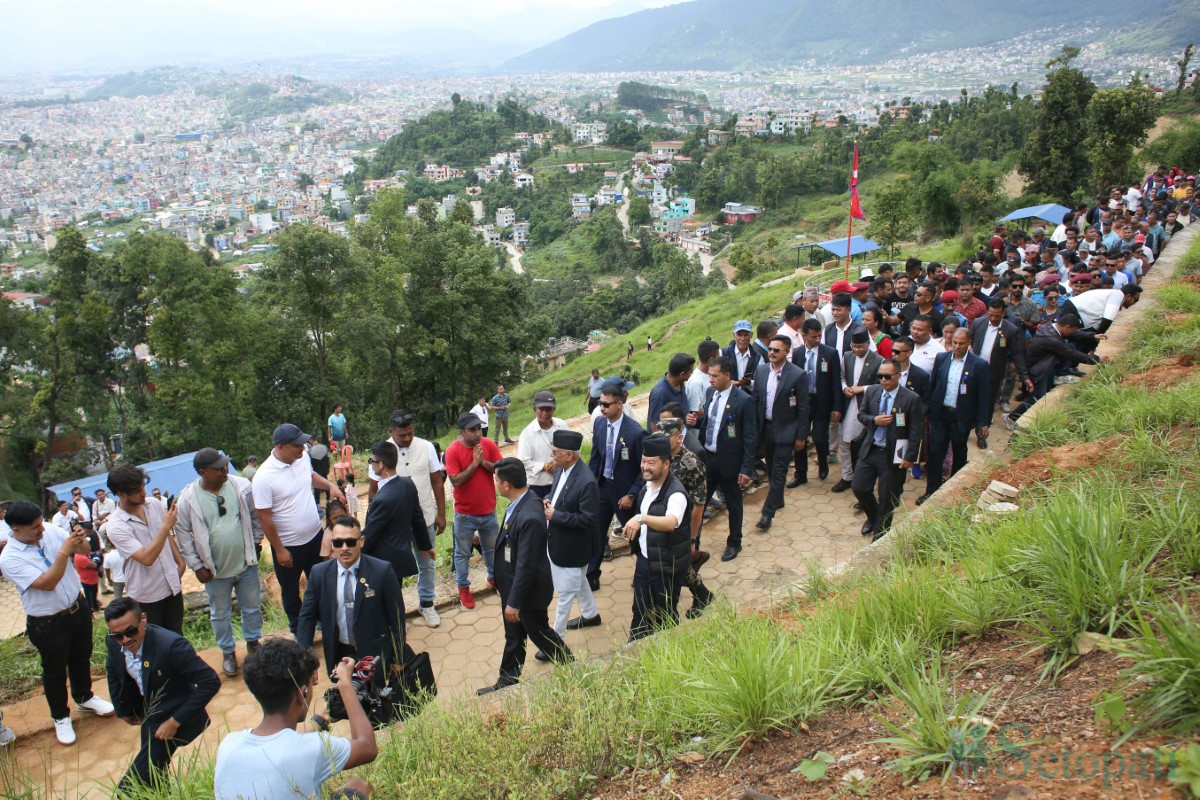 Tree-plantation_-527-1751099532.jpg