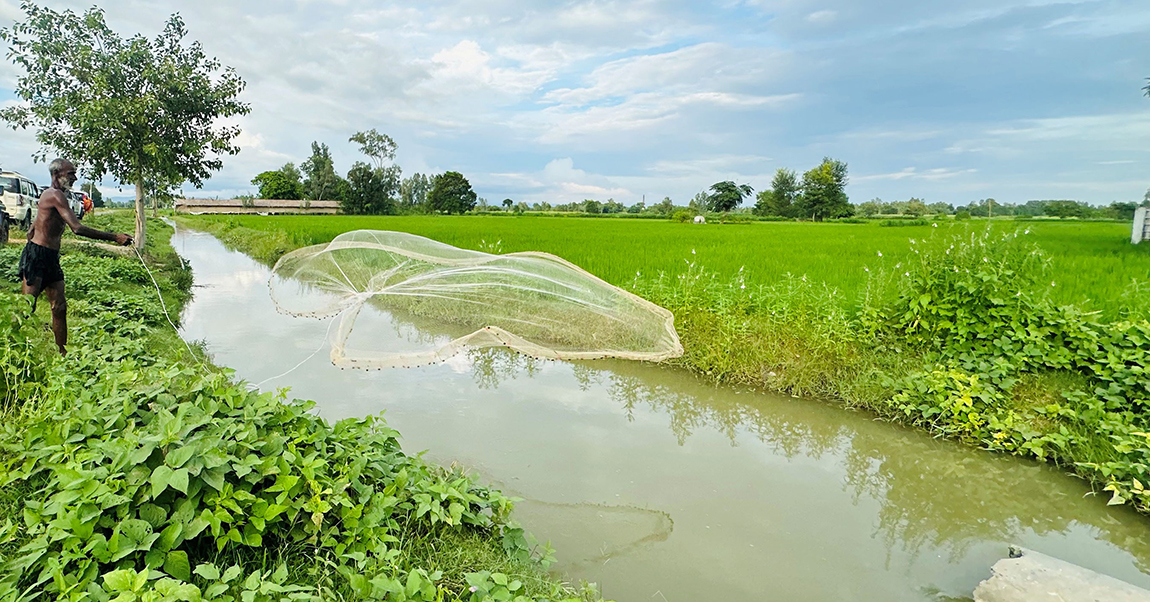 आजका तस्बिर- वैशाख १