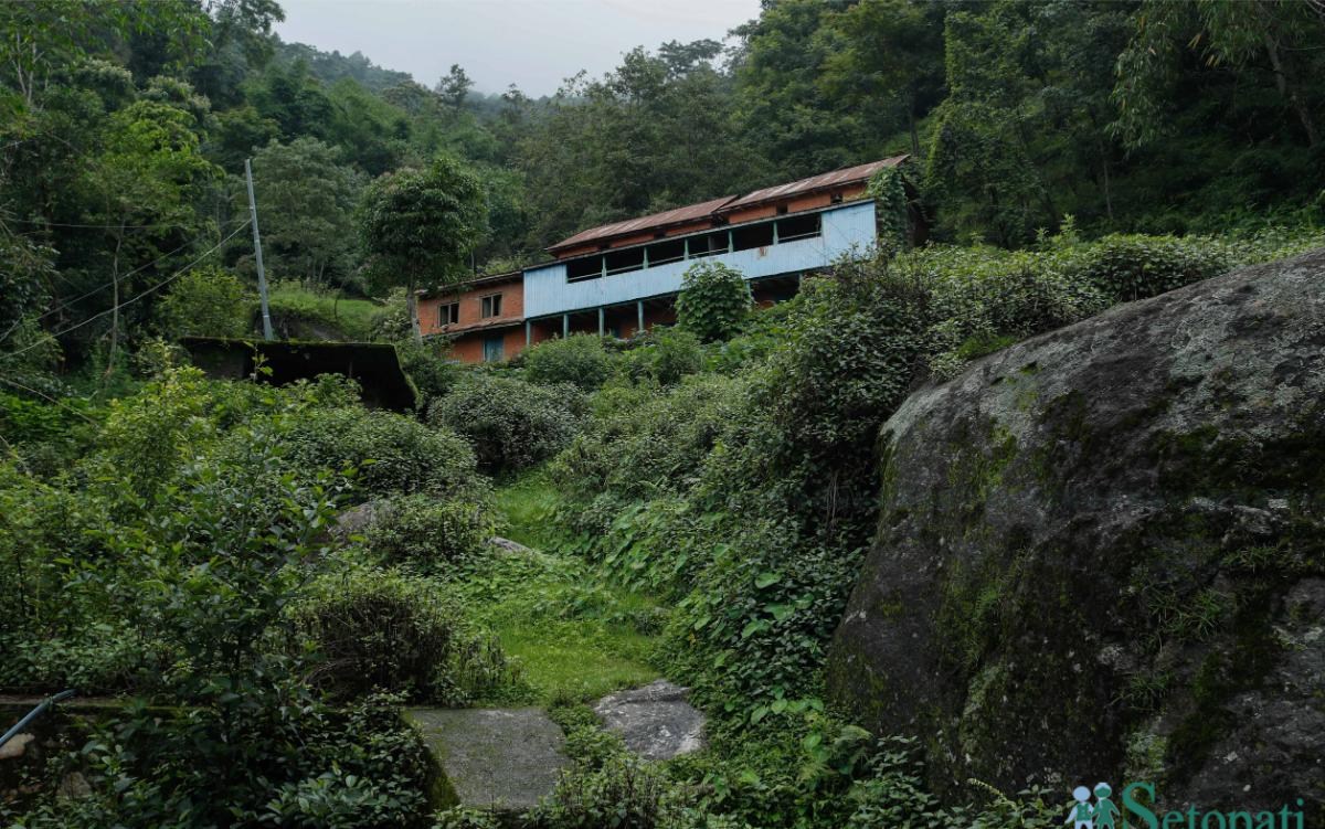 Village_NPL_-775-ink-1751694551.jpeg