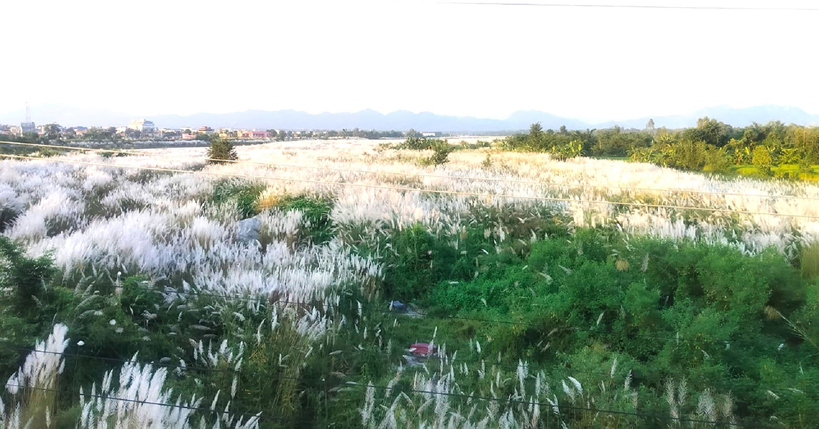 आजका तस्बिर- असोज २५