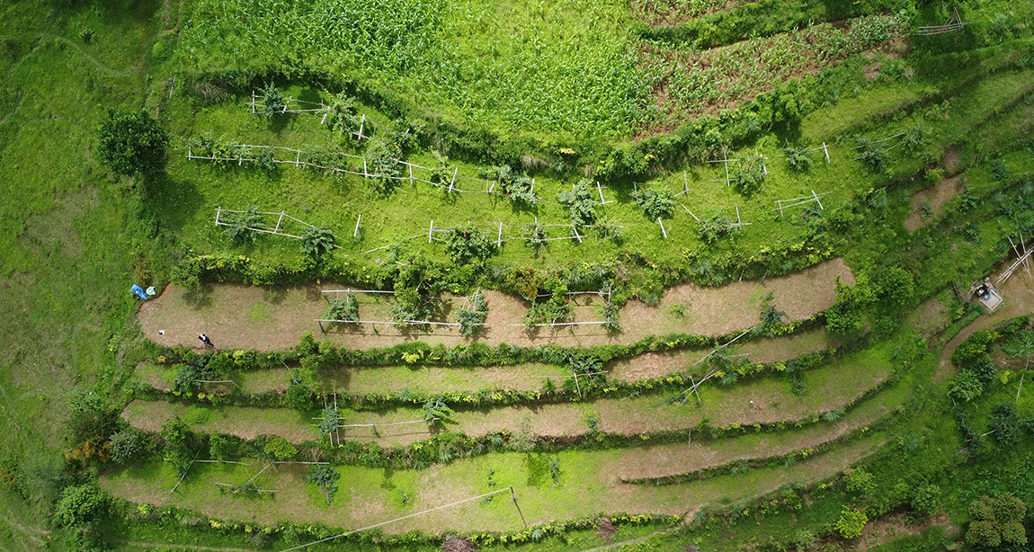 आजका तस्बिर- साउन ९