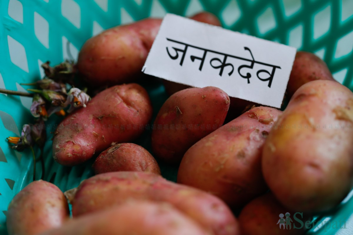 aalu-sammelan-(4)-1748590459.jpg