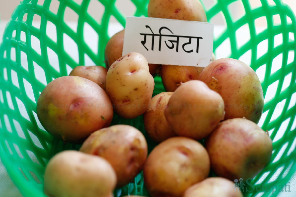 aalu-sammelan-(7)-1748590461.jpg