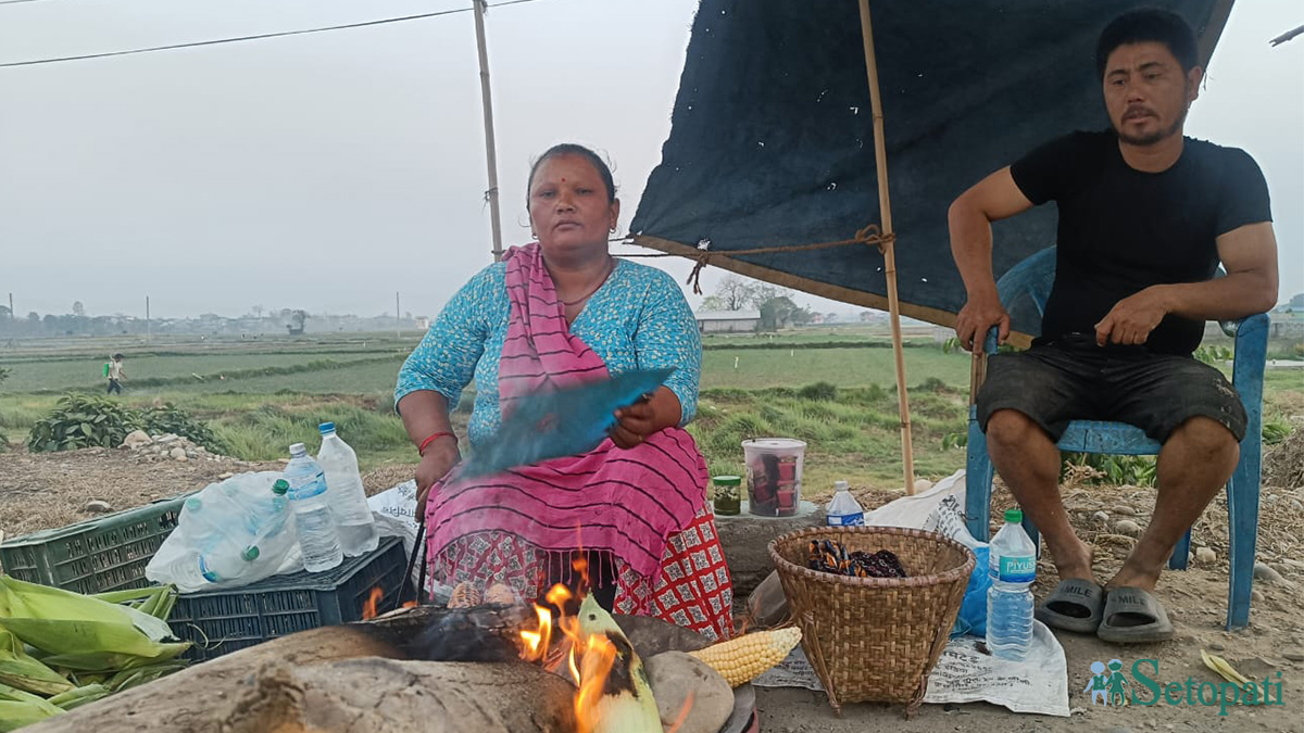 'मकै बेचेर कमाएको पैसाले घडेरी किन्यौं, घर बनाउने योजना छ'