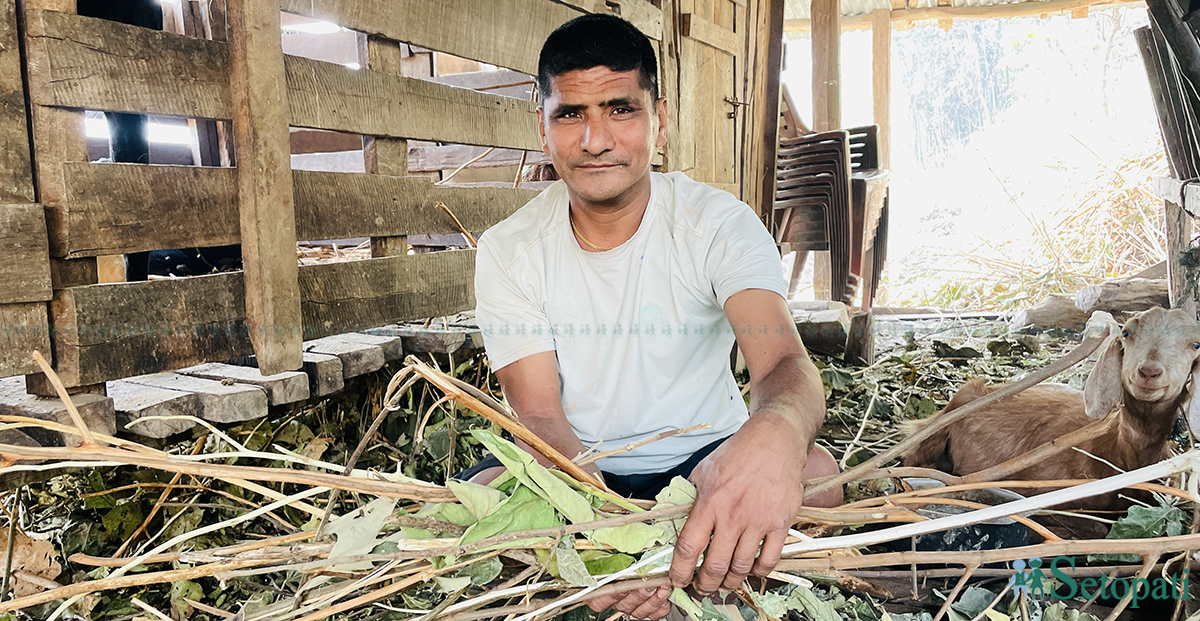 'म दुःख गरेर खाने मान्छे हो, पैसामा बिक्दिनँ'