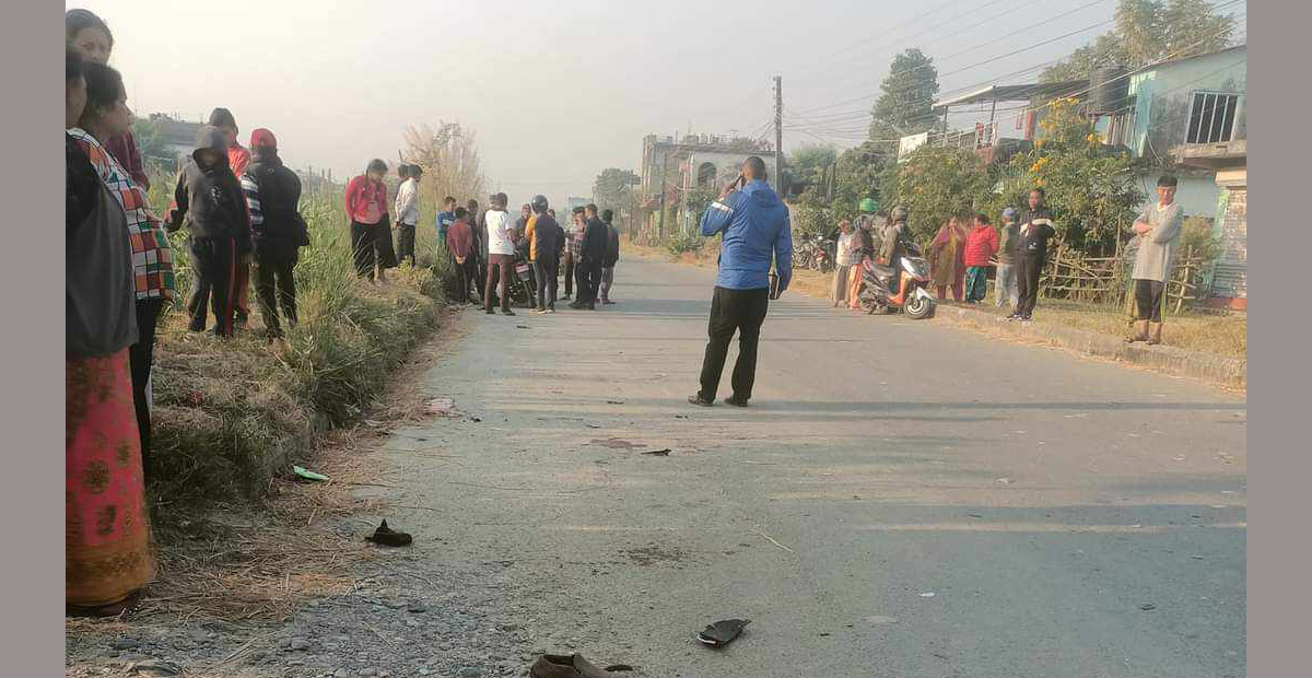 तस्वीर: नहकुल शाहीको फेसबुकबाट।