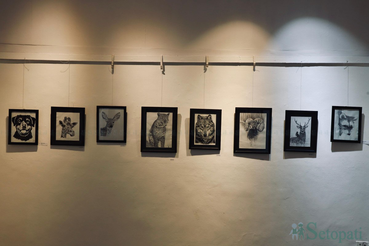 art--(7)-1750232412.jpg