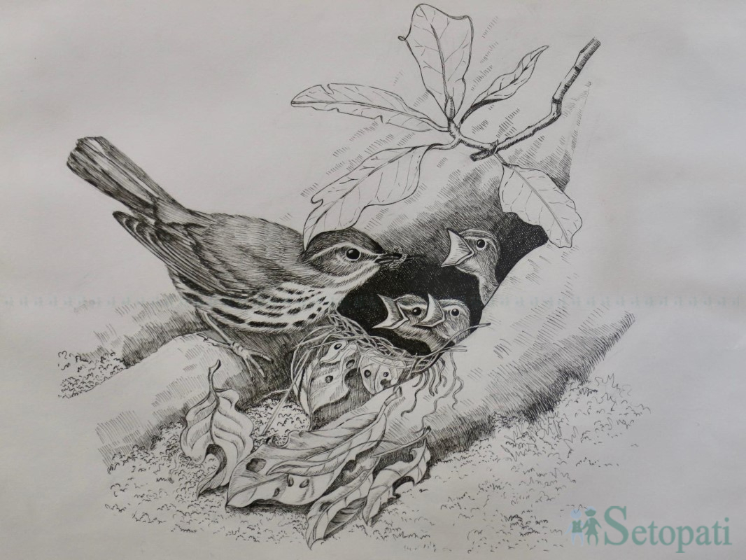 art--(8)-1750232412.jpg
