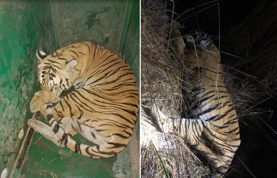 तस्बिर: लोथर उपभोक्ता समितिका अध्यक्ष मानबहादुर स्याङ‍्बोको फेसबुकबाट।