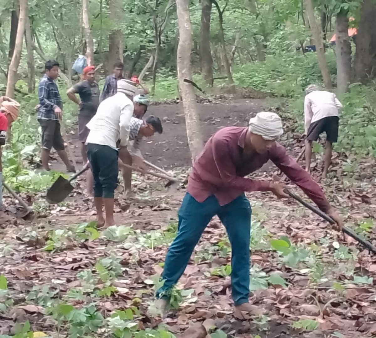balmiki-ashram-story4-1786279299.jpeg