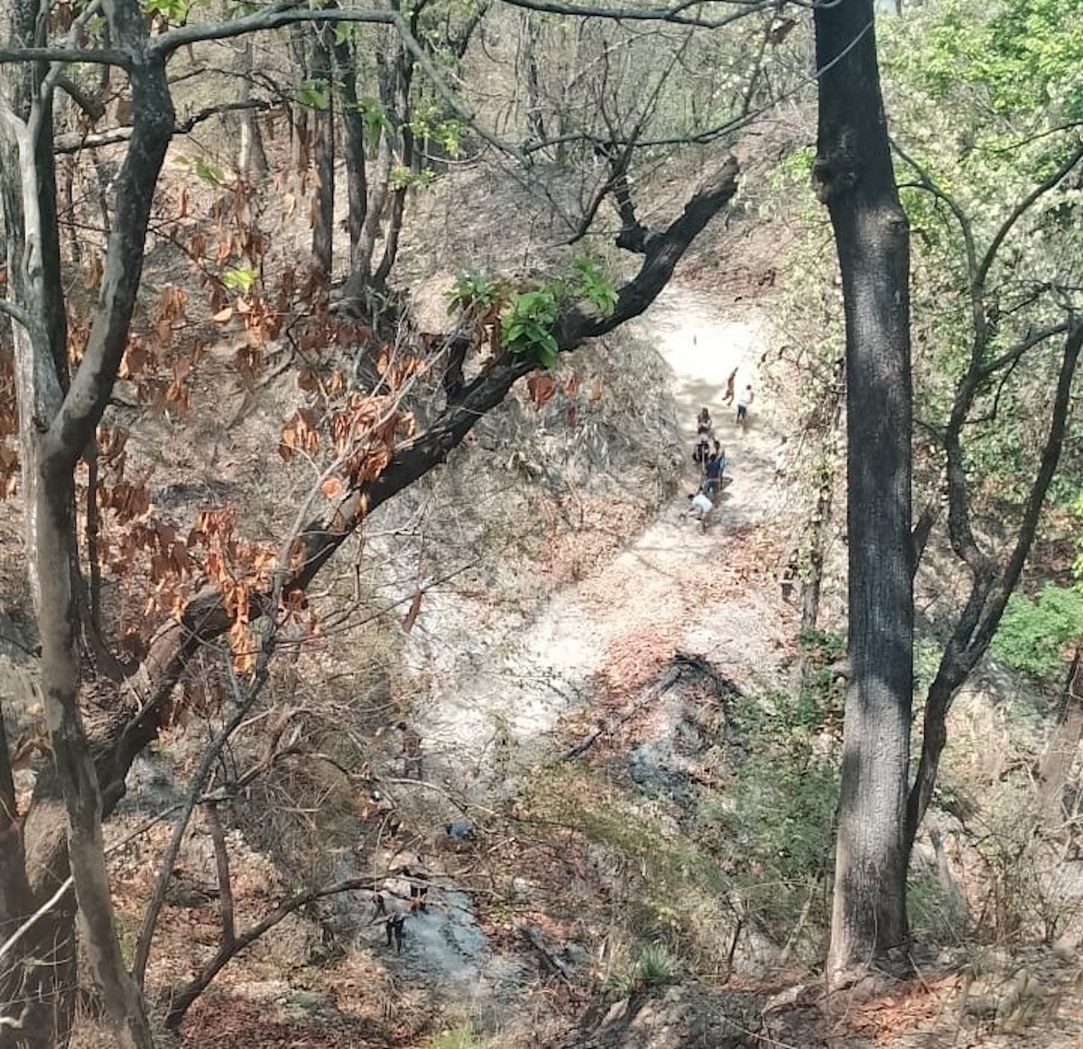 balmiki-ashram-story6-1786279300.jpeg