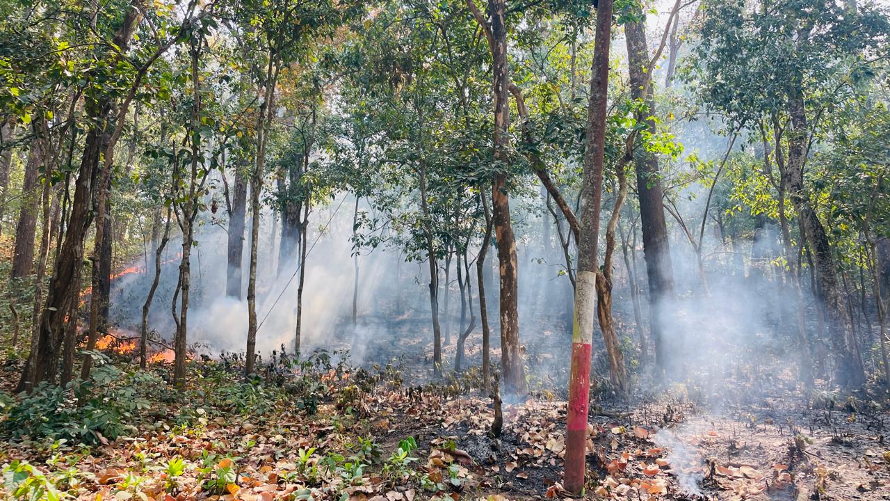 वरण्डाभार राष्ट्रिय वन क्षेत्रमा लागेको डढेलो।