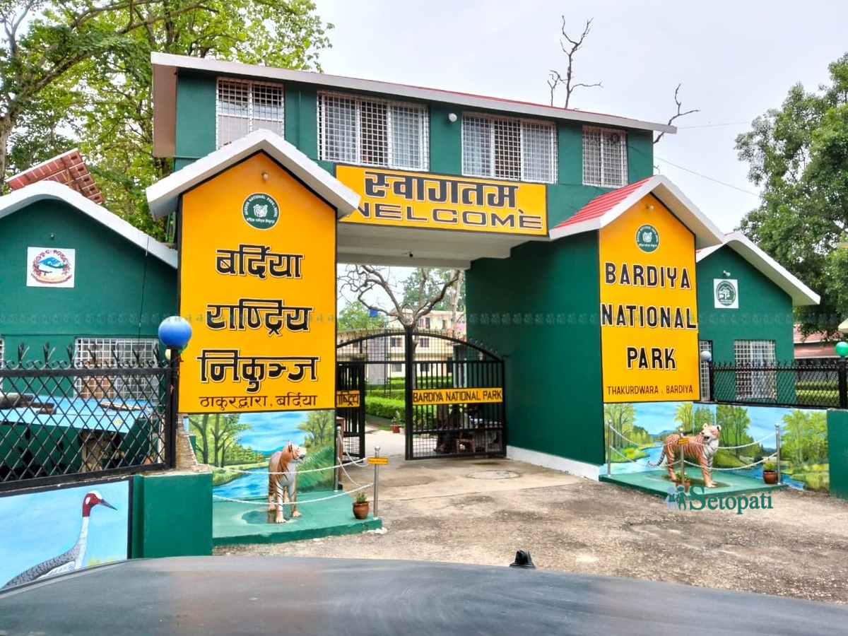 bardiya-nikunja6-1781972951.jpeg