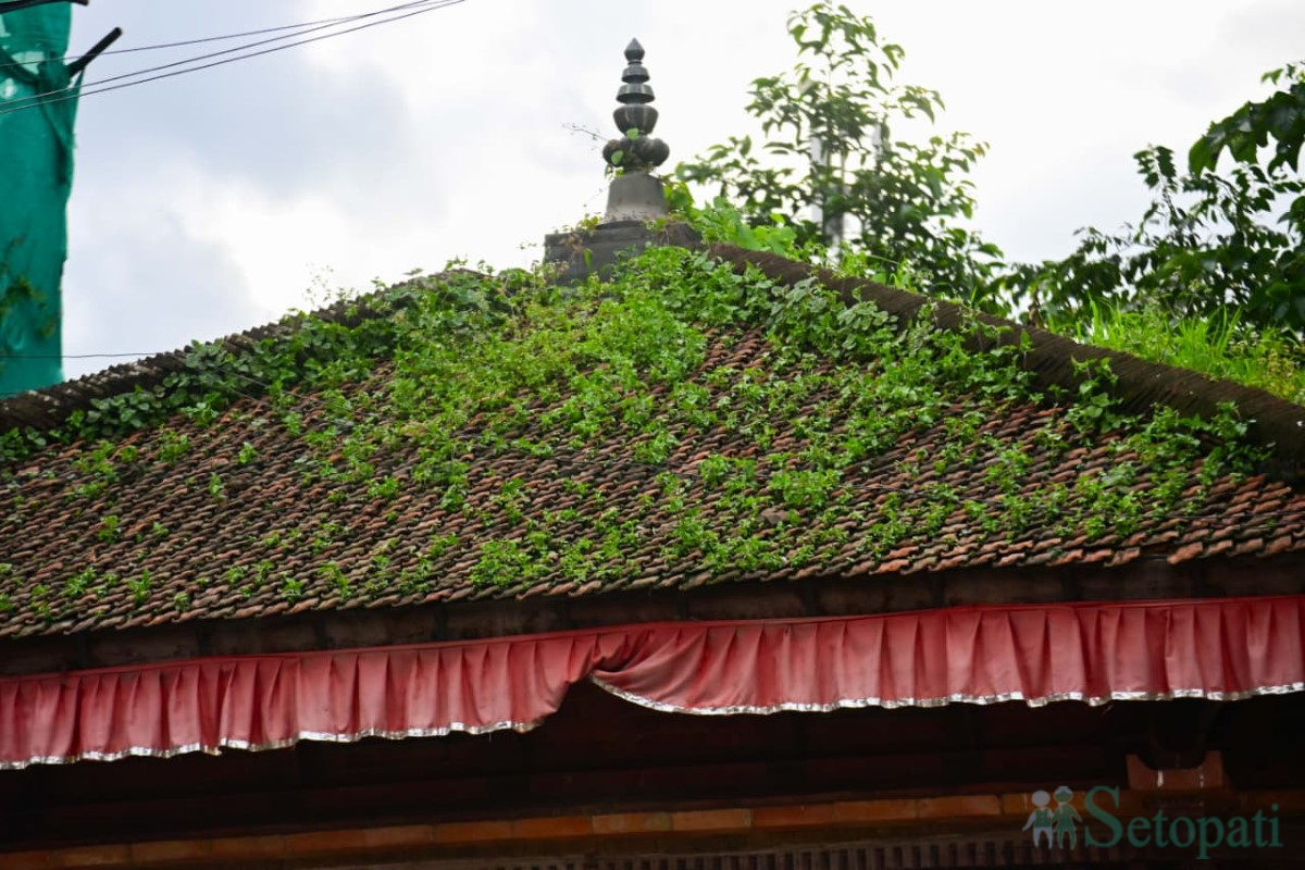 basantapur-mandir-(11)-1755501179.jpg