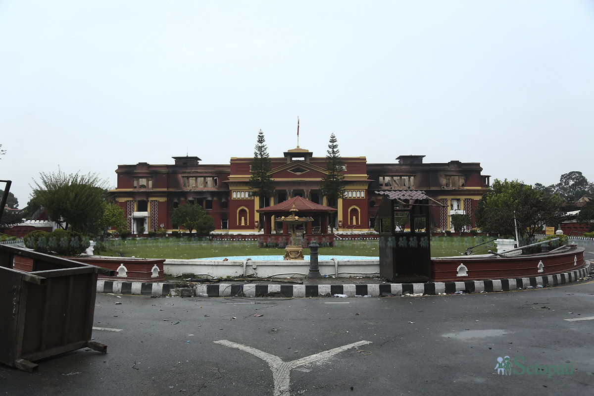 bhadau-24-(7)-1788930065.jpg