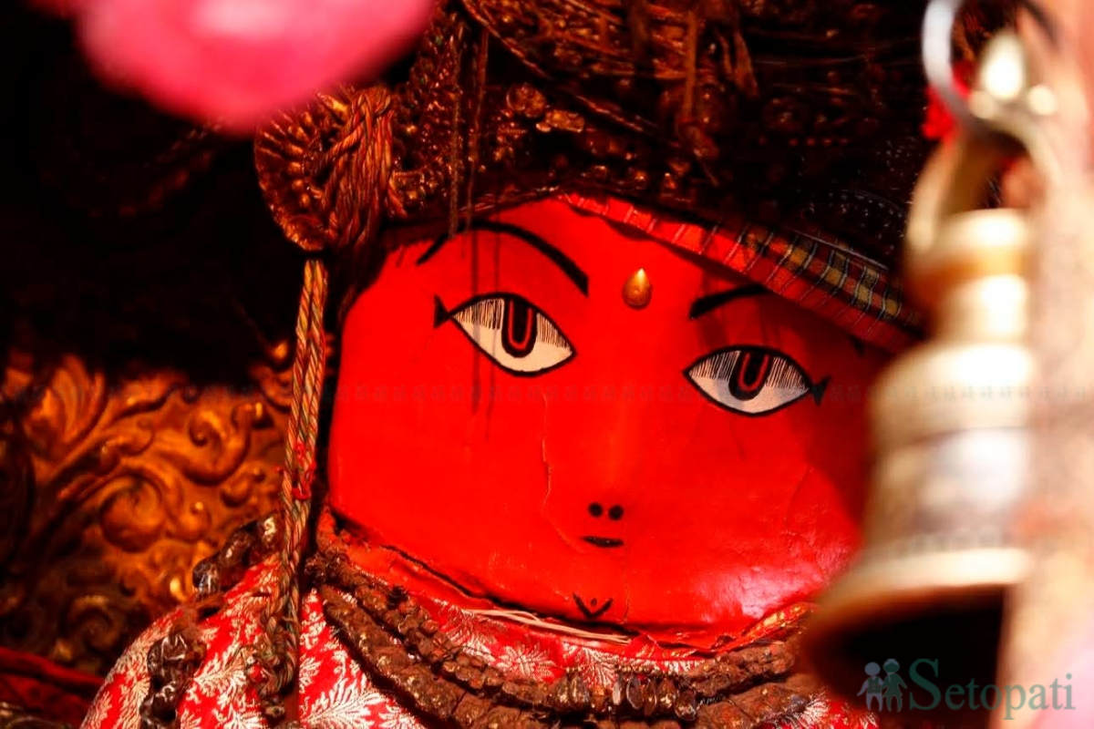 bhoto-jatra-(21)-1781958980.jpg