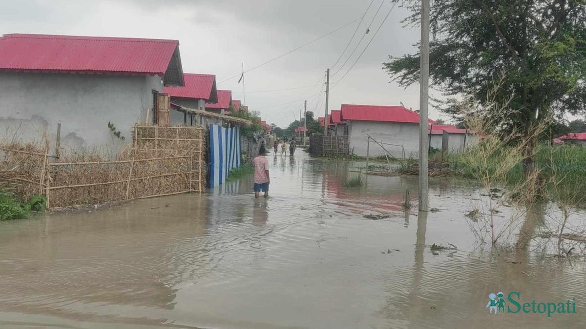 biratnagar-badhi-(1)-ink-1748685519.jpeg