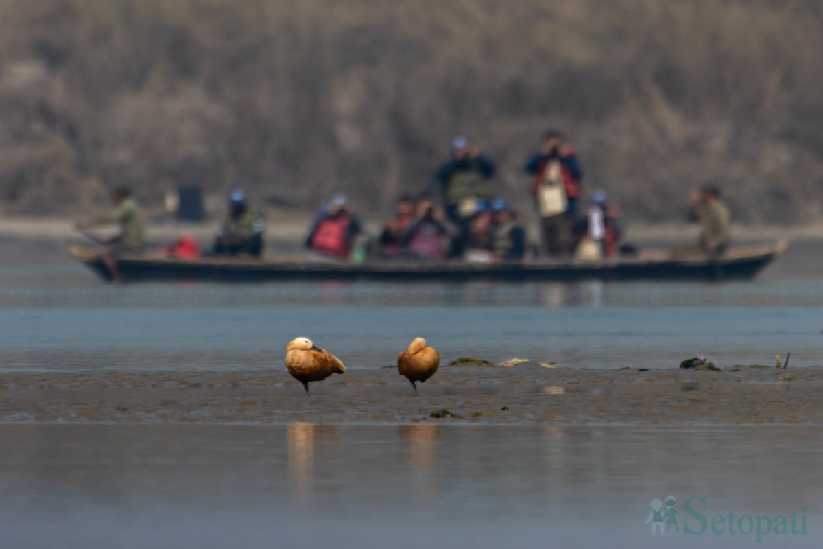 birds-(10)-1761379680.jpg