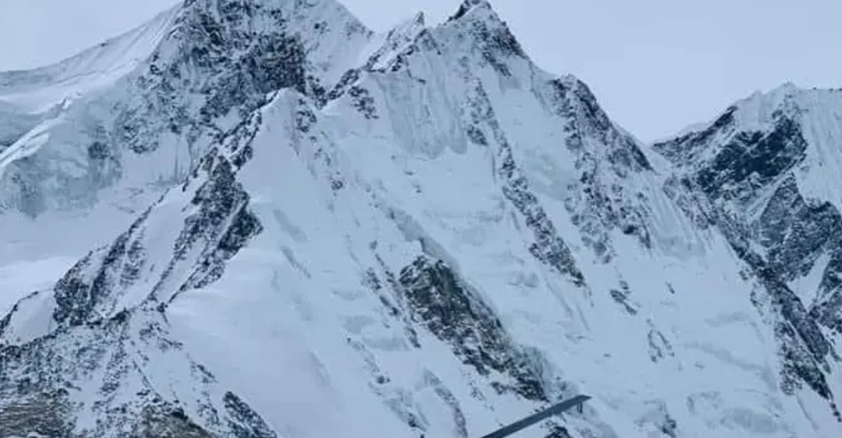 तस्बिरः डन।