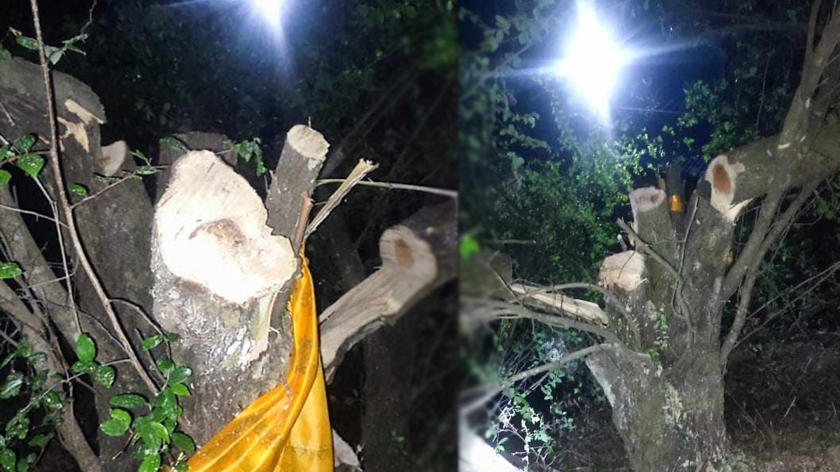 फाइल तस्बिर