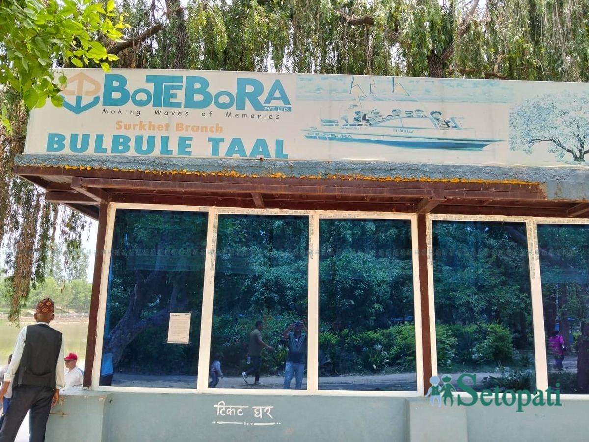 bulbule-taaa17-1783191380.jpeg