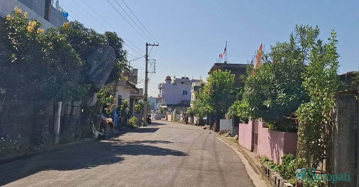butwal-jamin-1760148136.jpg