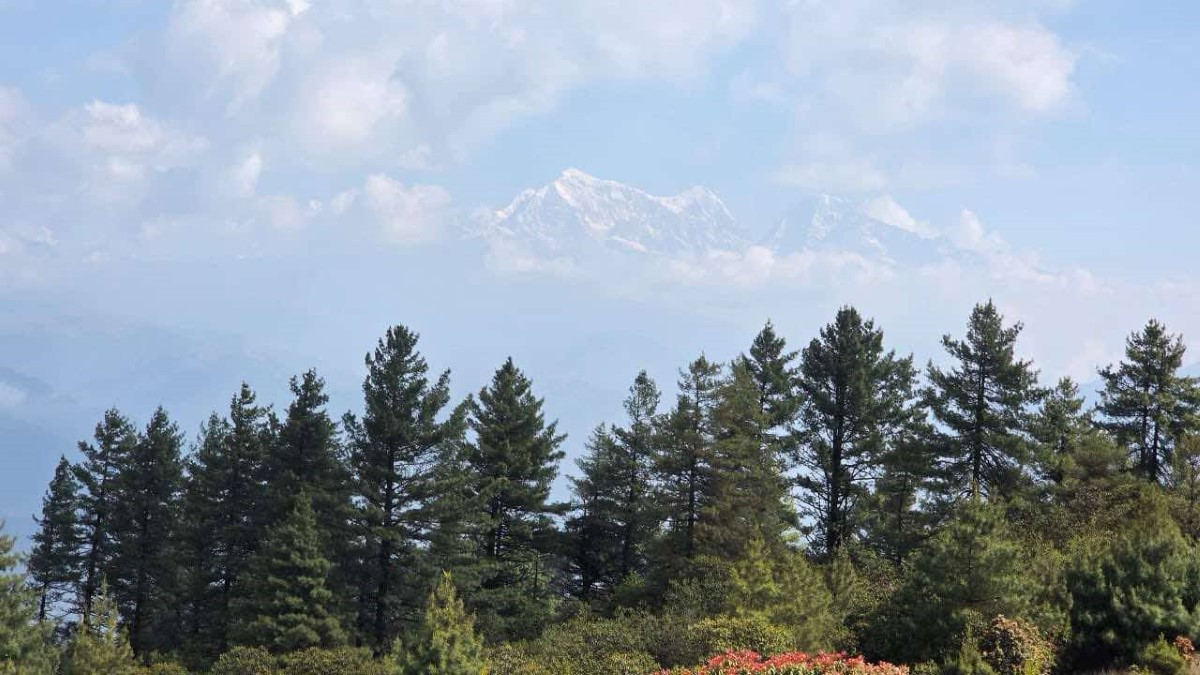 camp-(6)-1746861158.jpg