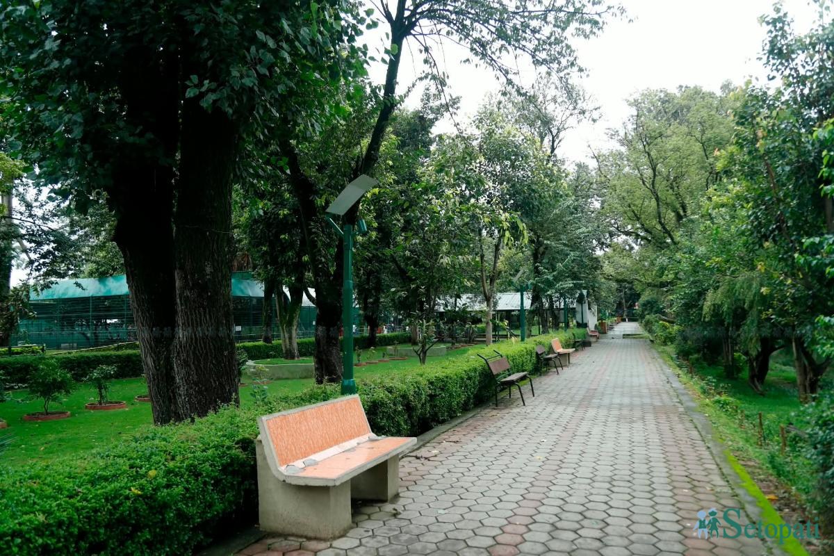 chidiya-ghar-(15)-ink-1784280211.jpeg