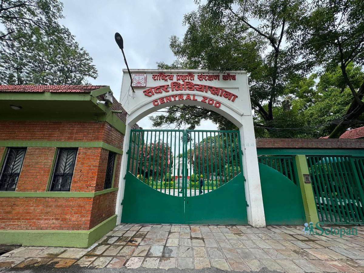 chidiya-ghar-(16)-ink-1784280211.jpeg