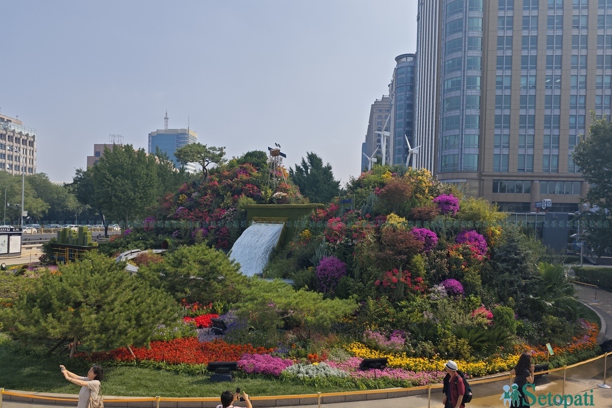 chinese-flowers3-1790846030.jpg