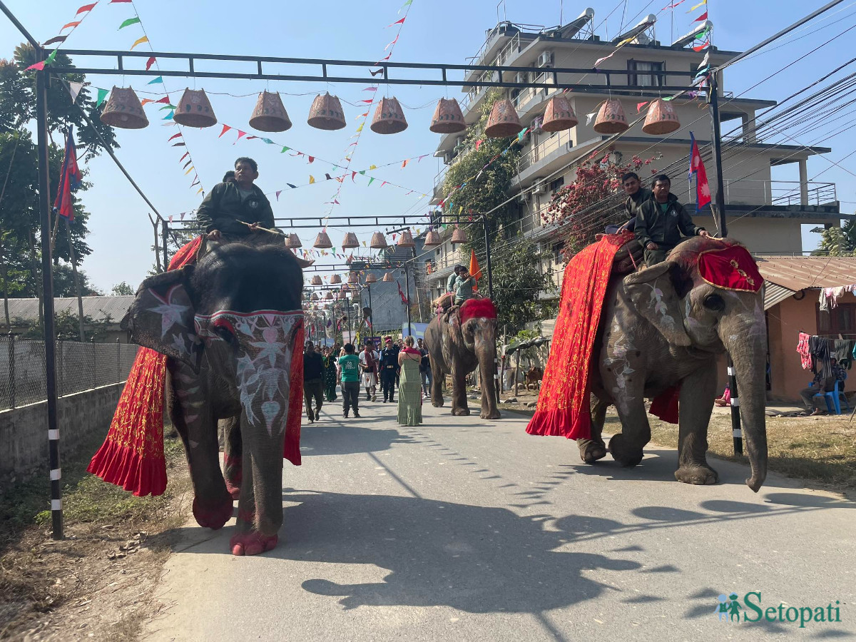 chitwan-food-fest-14-th-feb-(4)-1707660074.jpg