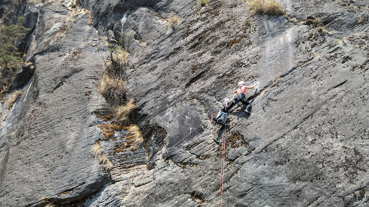 तस्बिर स्रोत: लुदुभाइन पोनसेलेट
