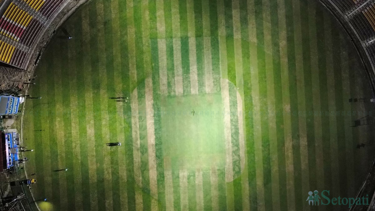 cricket-(1)-1760967147.jpg