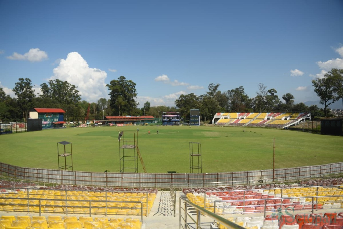 cricket-(3)-1760004779.jpg
