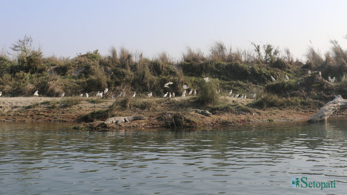 आजका तस्बिर- वैशाख १