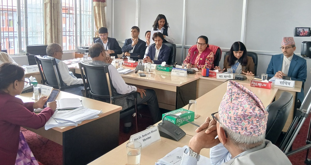 संघीय निजामती सेवा विधेयक: अतिरिक्त सचिवको व्यवस्था हटाउँदा राष्ट्रिय सभाबाट पनि त्रुटि