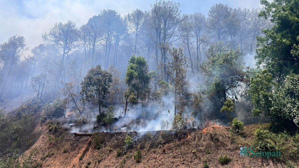फाइल तस्बिर