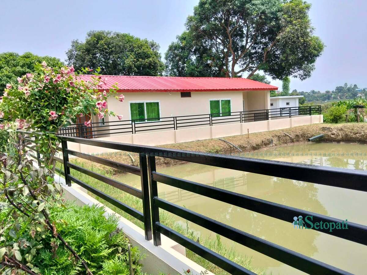dangisharanam-homestay3-1785776053.jpg