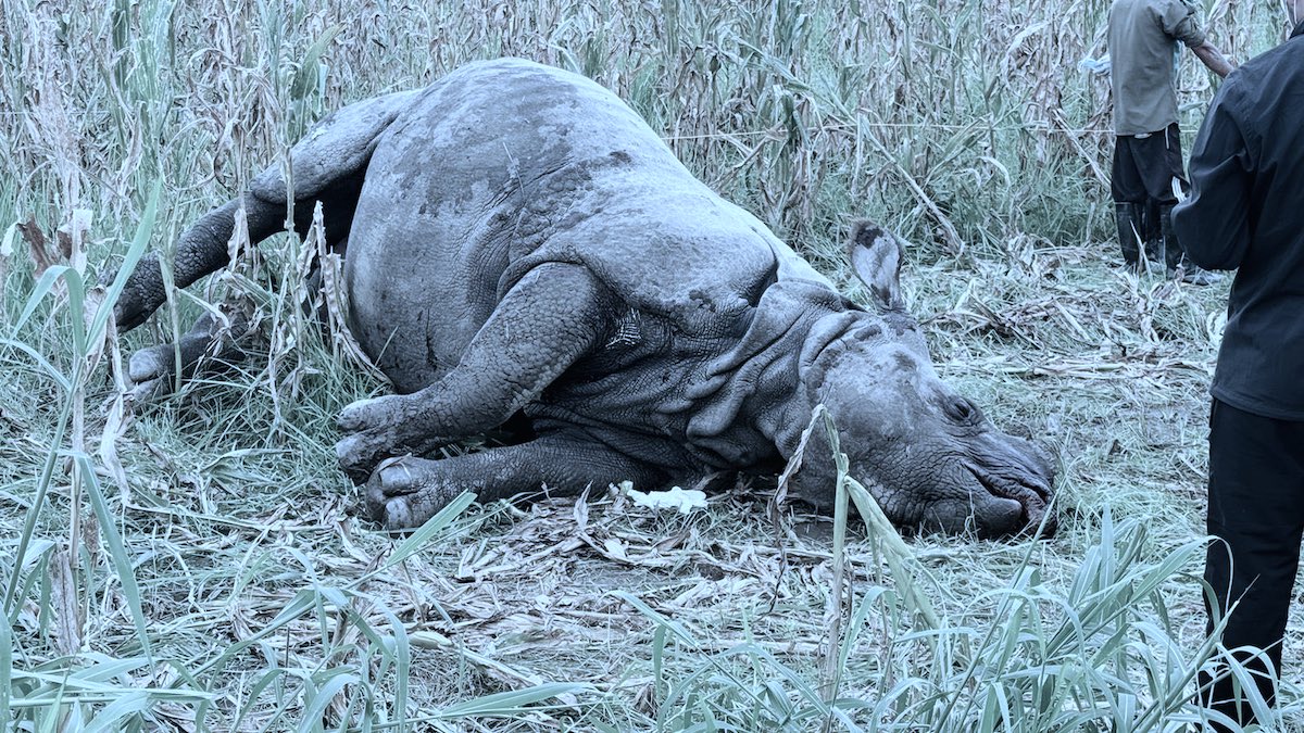 तस्बिरः बद्री अर्याल