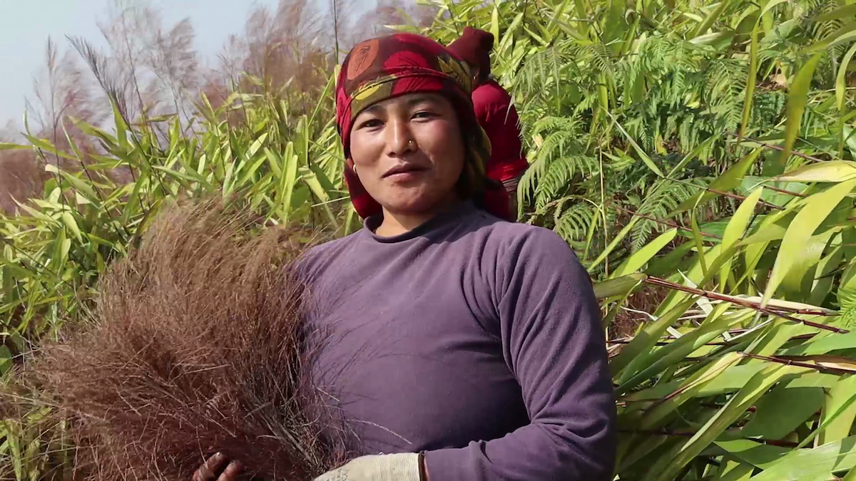 अम्रिसो खेती गरिरहेकी देवीसरा वयम्बु