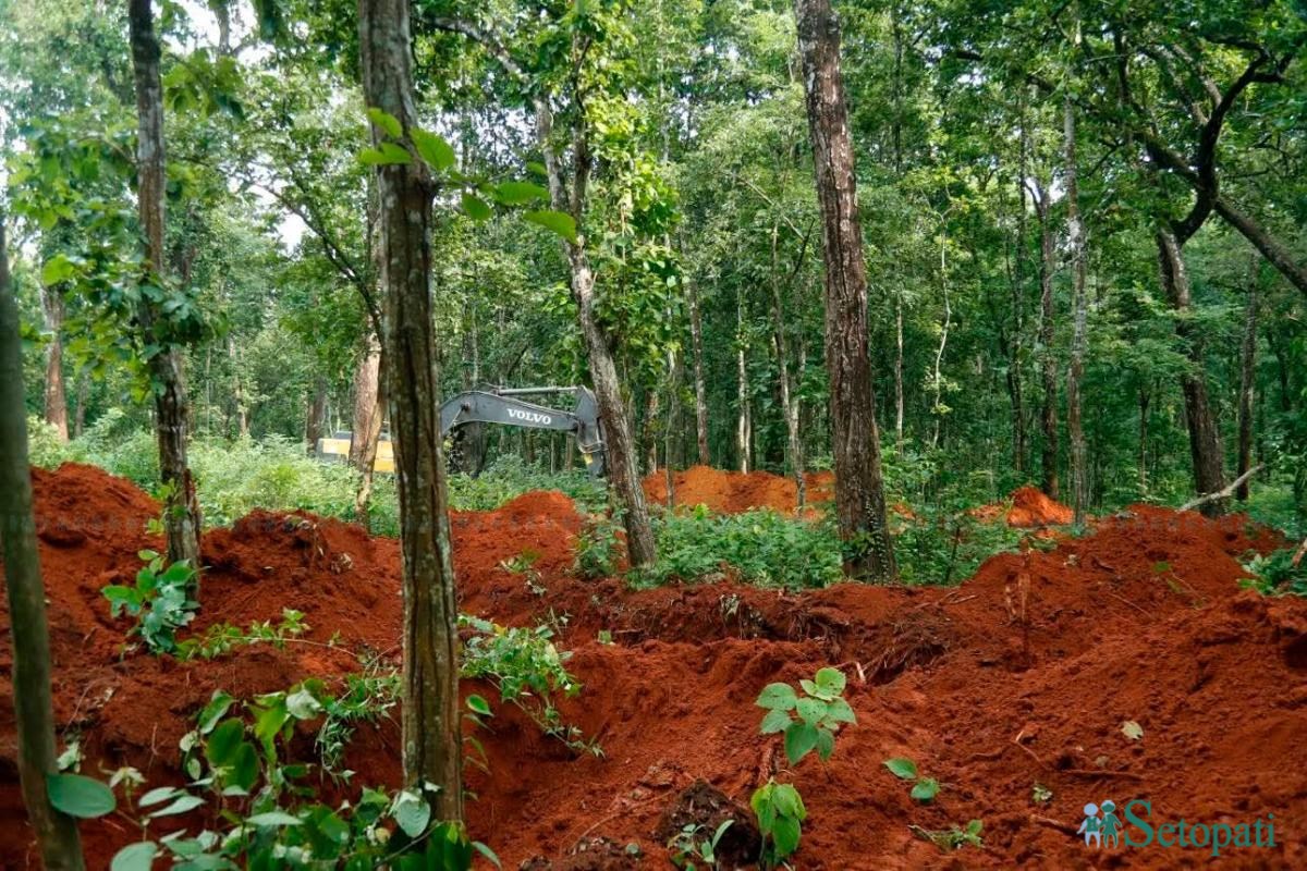 devghat-samadhi-(4)-1788000732.jpeg