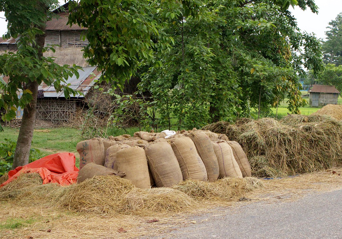 आजका तस्बिर- जेठ २९