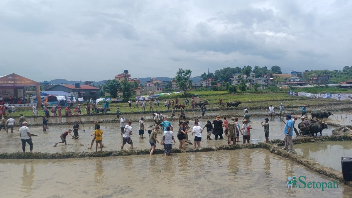 dhan-ropai-with-foreigners-(1)-1751199071.jpeg