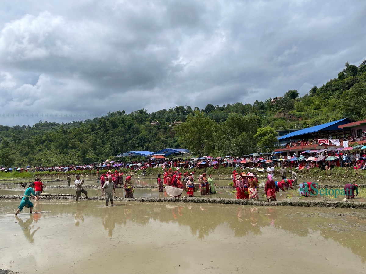 dhan-ropai-with-foreigners-(8)-1751199074.jpeg