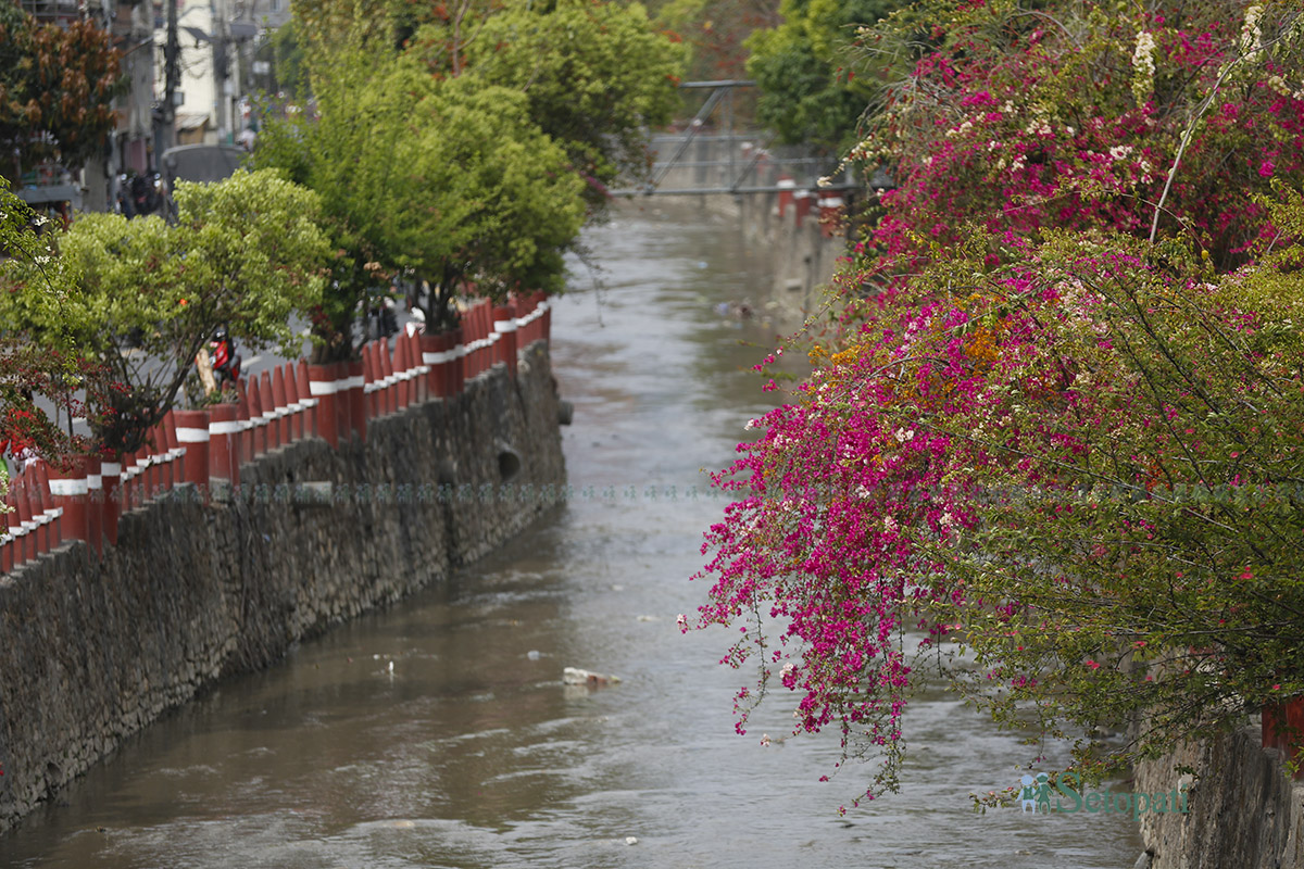 खोलानाला सरसफाइ गर्दै काठमाडौं महानगर (तस्बिरहरू)