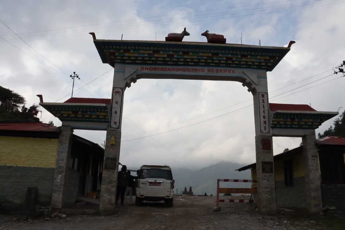 dhor2-1753356370.JPG